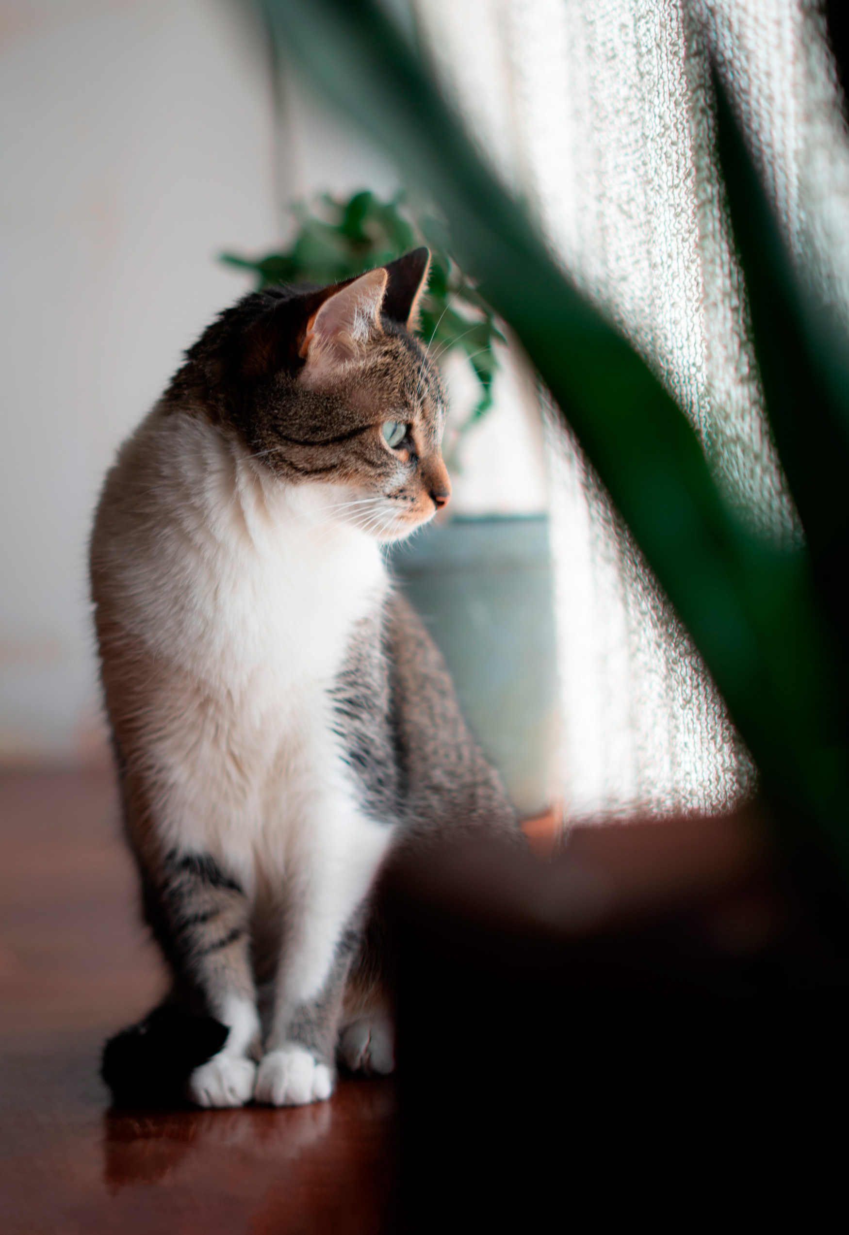 Retrato Milo